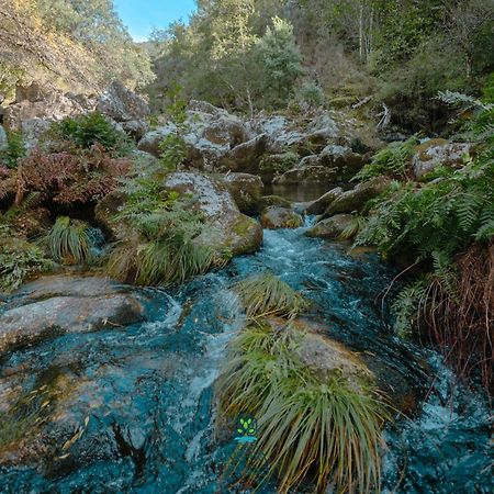 세이아 Casa Da Ribeira Do Cirio 게스트하우스 외부 사진