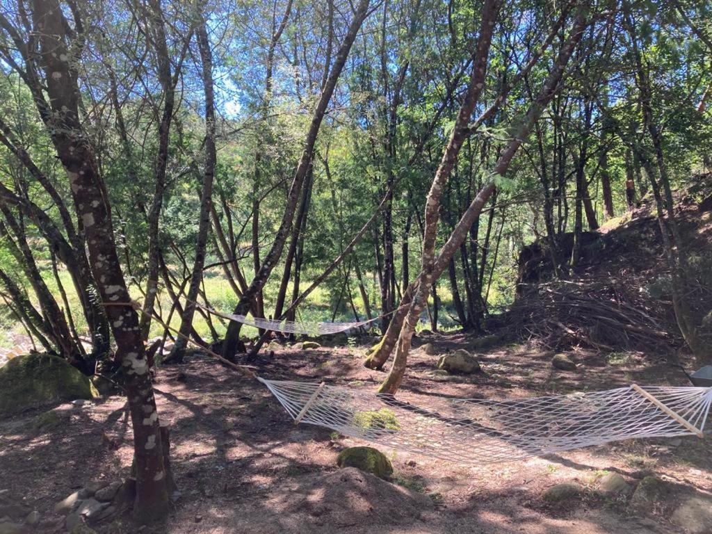 세이아 Casa Da Ribeira Do Cirio 게스트하우스 외부 사진