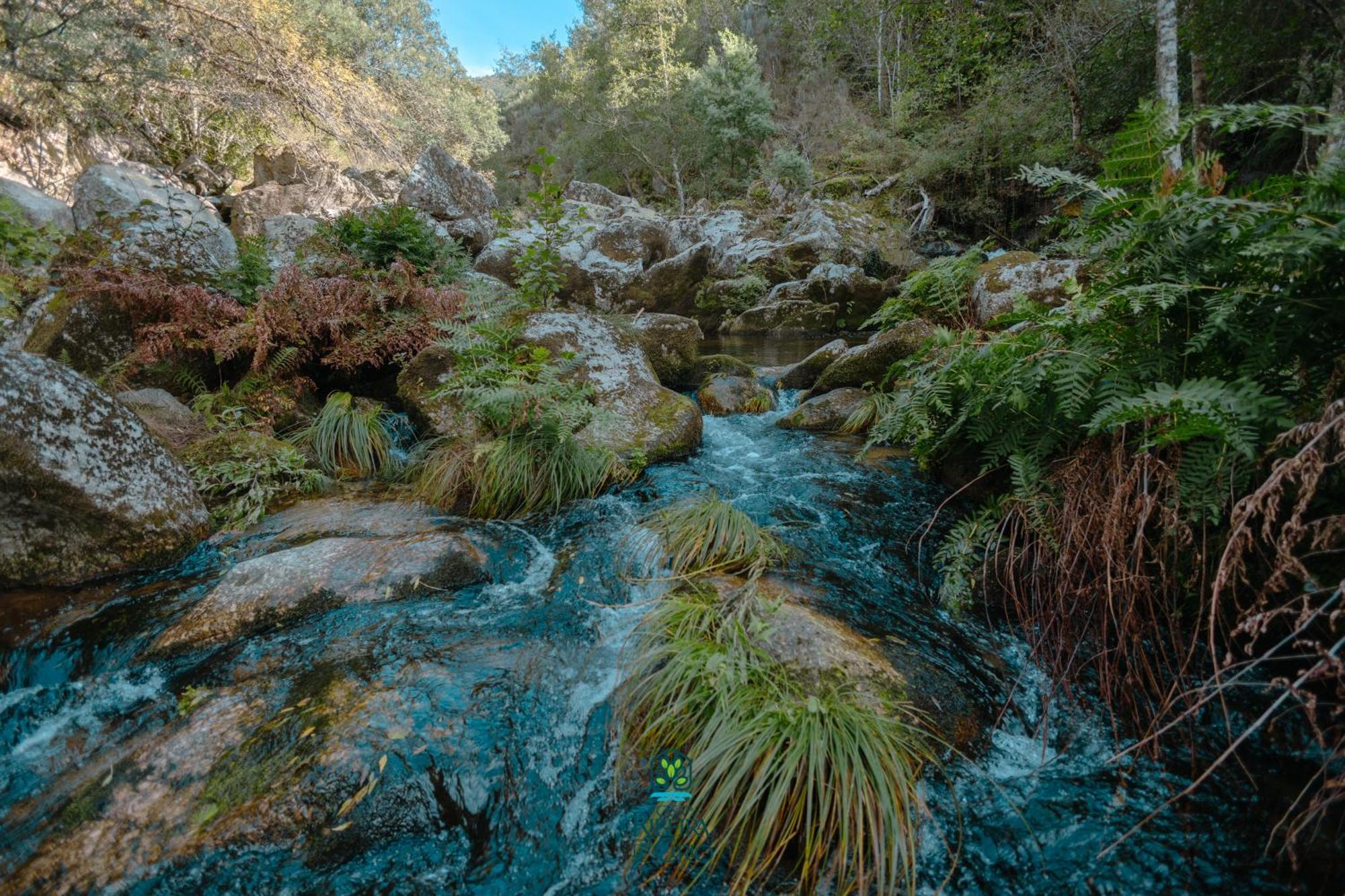 세이아 Casa Da Ribeira Do Cirio 게스트하우스 외부 사진