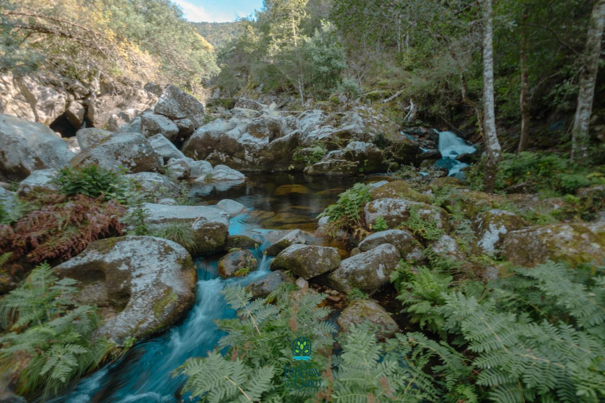 세이아 Casa Da Ribeira Do Cirio 게스트하우스 외부 사진