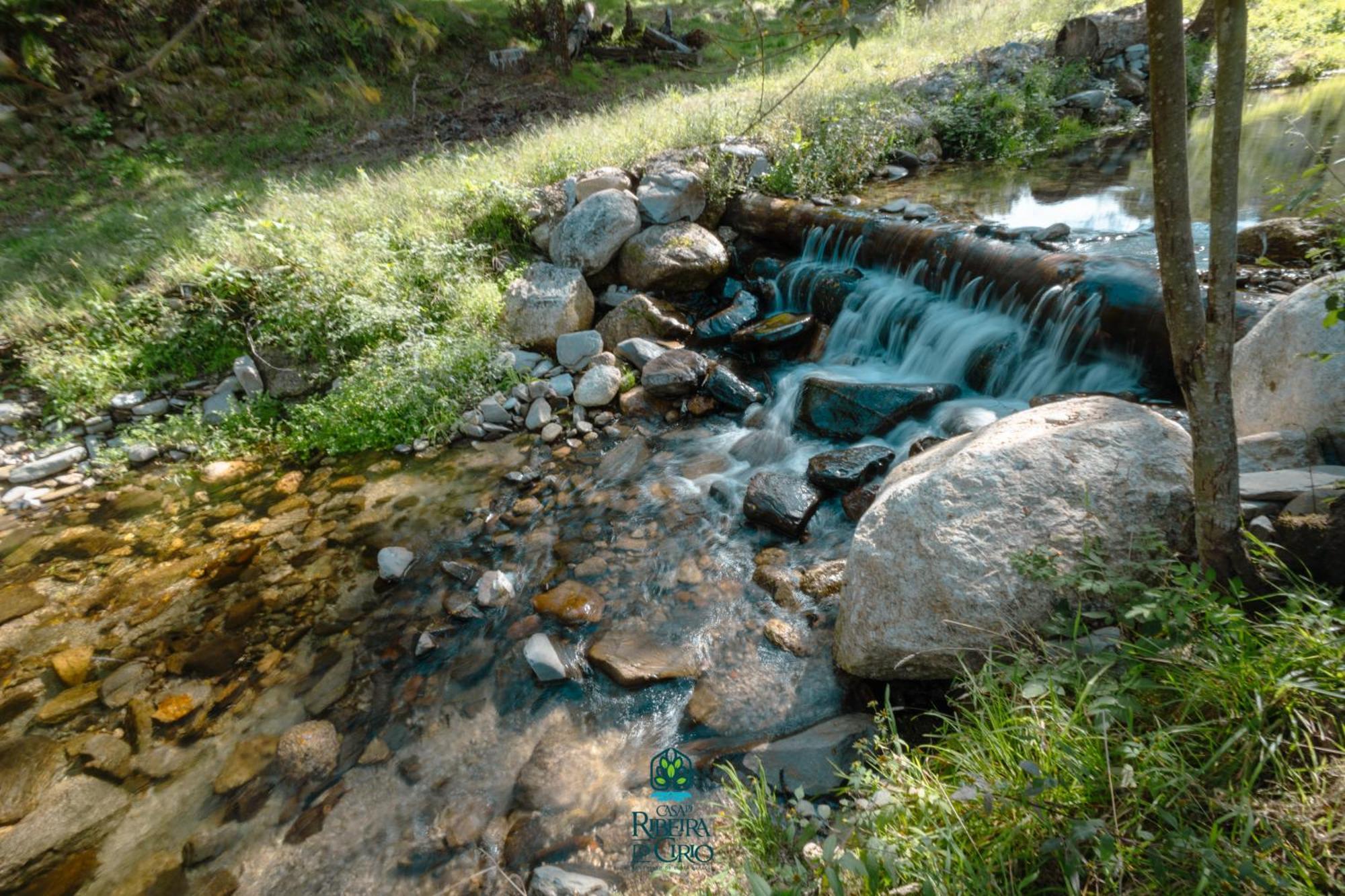 세이아 Casa Da Ribeira Do Cirio 게스트하우스 외부 사진