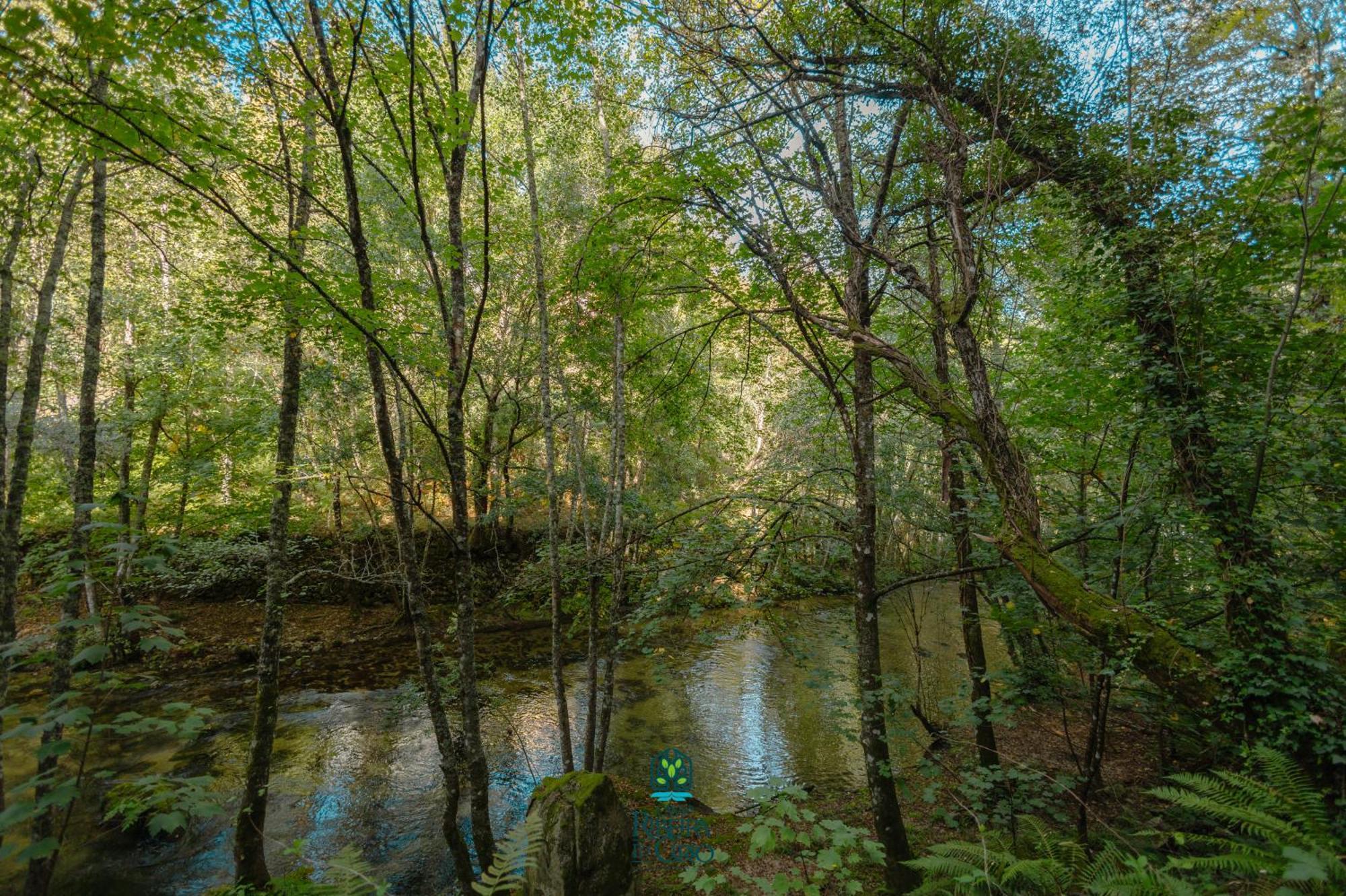 세이아 Casa Da Ribeira Do Cirio 게스트하우스 외부 사진