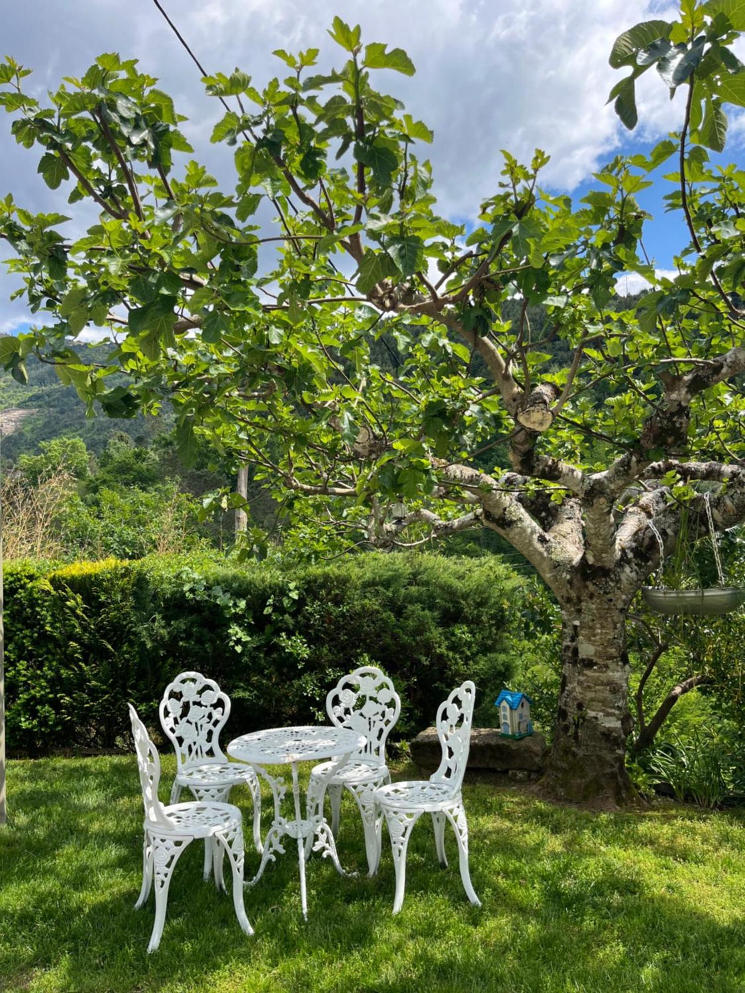 세이아 Casa Da Ribeira Do Cirio 게스트하우스 외부 사진
