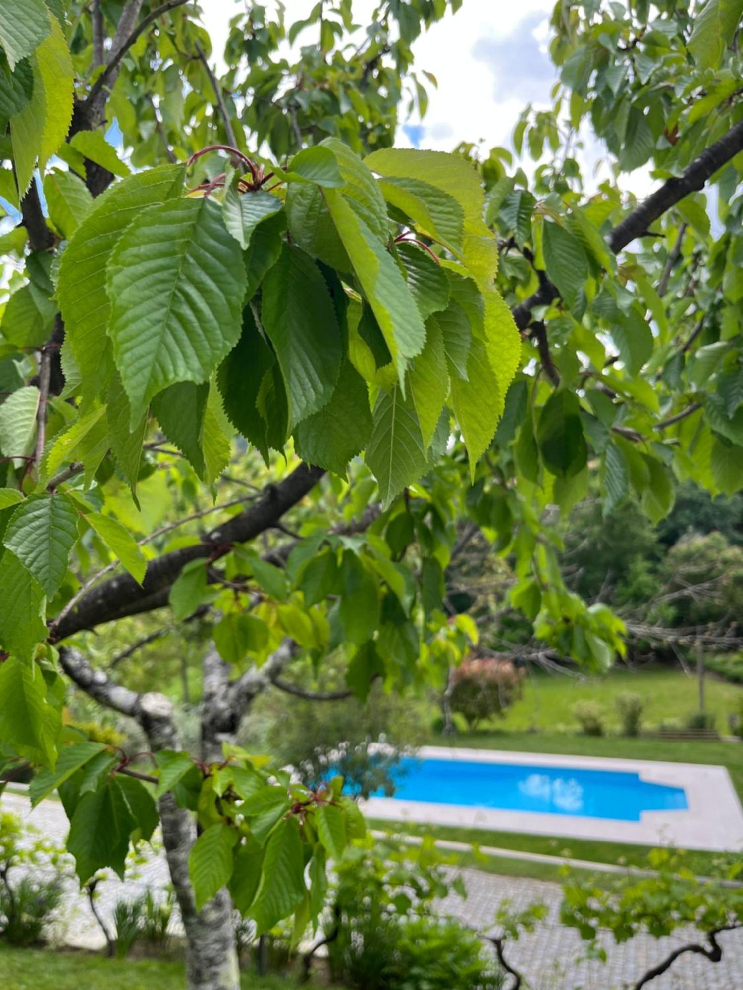 세이아 Casa Da Ribeira Do Cirio 게스트하우스 외부 사진