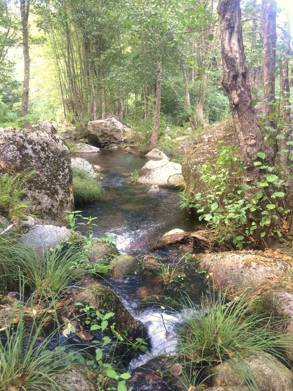 세이아 Casa Da Ribeira Do Cirio 게스트하우스 외부 사진